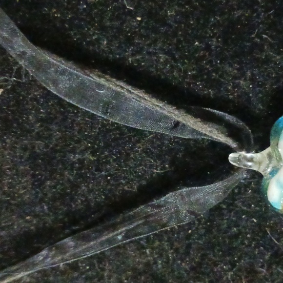 Elegant Blue Heart Pendant Necklace - Picture 4 of 6